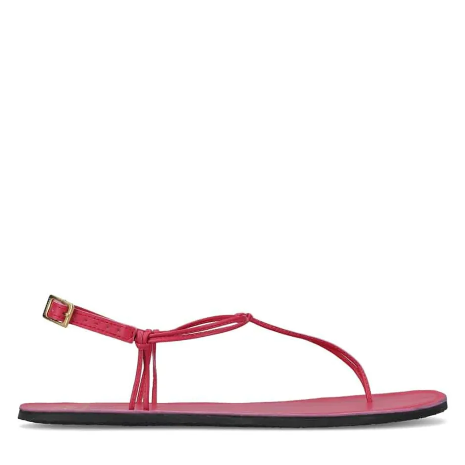 Sandals|Groundies ® Amalfi Women Pink
