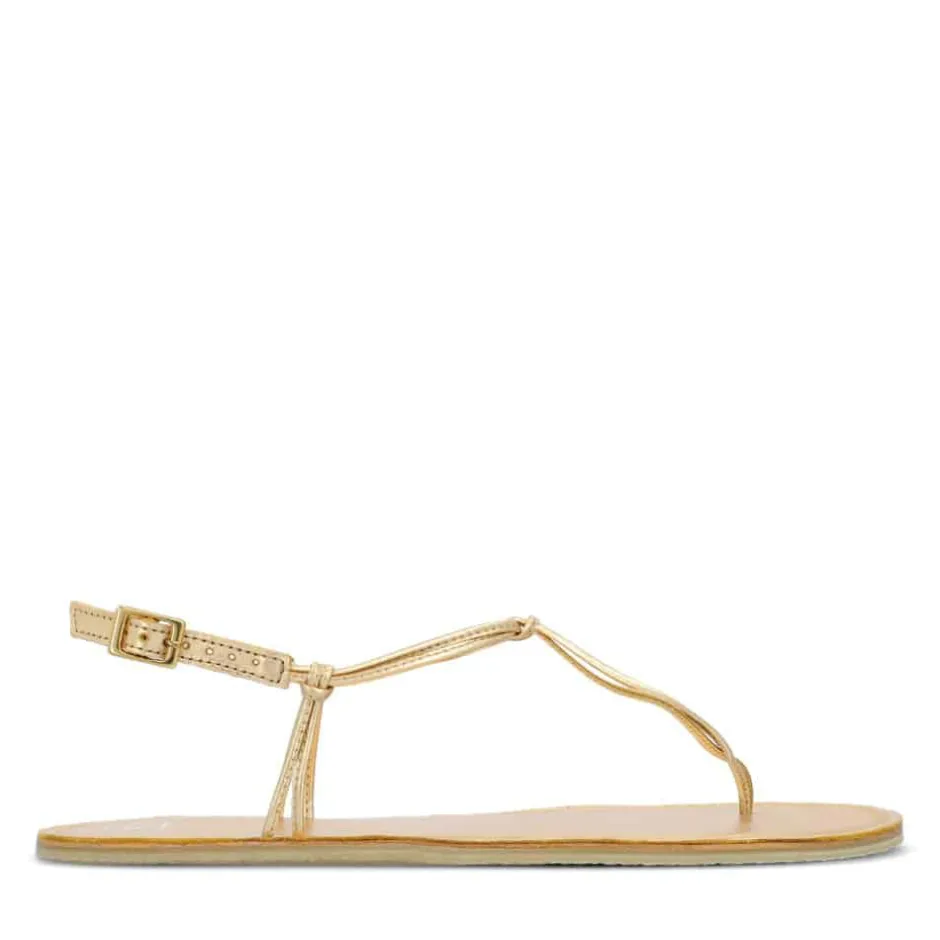 Sandals|Groundies ® Amalfi Women Gold